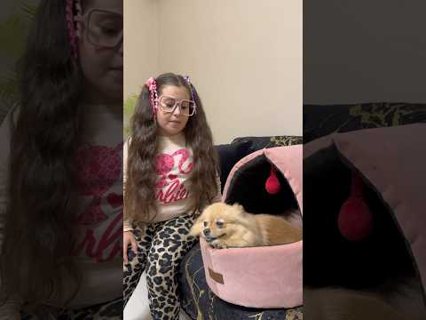 Çiçek neden böyle davranıyor ? #shortvideo