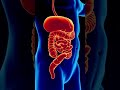 Chloride and Salt Consumption Effects