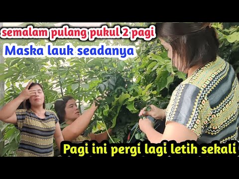 Masak apa yang ada sebelum pergi ke acara pengebumian Mak Mertua