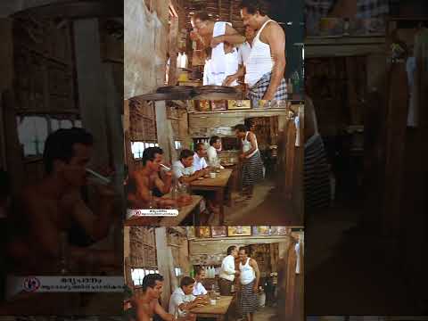 കറീക്ക് എരിവ് പോരല്ലോടോ | Malayalam Comedy Movies | #shorts #malayalam #comedy
