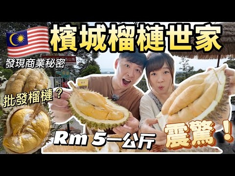 【97🇲🇾】震驚！發現🇲🇾商業秘密RM5/1kg的榴槤 檳城榴槤世家帶我們參觀傳承了三代的榴槤園｜順發榴槤園 #檳城 #馬來西亞 #榴莲 #檳城榴槤