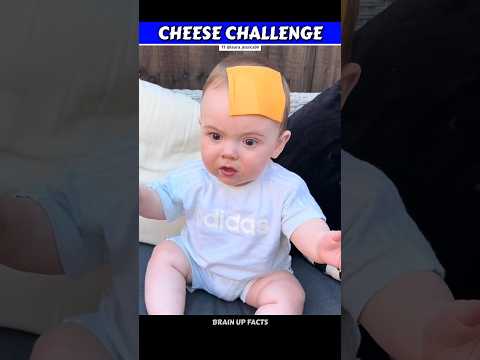 Why Do This Baby Stop Crying From A Slice Of Cheese 🤔