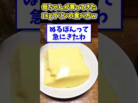【2ch面白いスレ】ワイの母ちゃんが買ってきた1kgプリンの食べ方www
