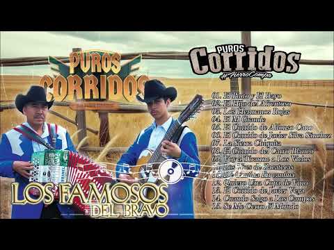 Los Famosos Del Bravo ✅ Puros Corridos Viejitos ✅ 20 Exitos Famosos