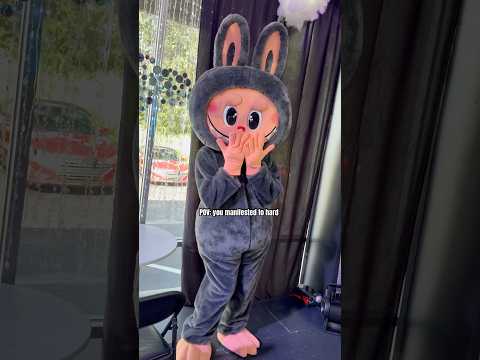 Total dream or total nightmare?! #labubu #funny