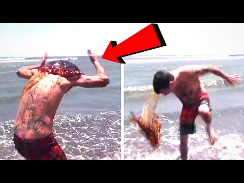 إذا رأيت هذا المخلوق أهرب فوراً وانج بحياتك ! 12 مخلوق يجب عليك الهروب حال رؤيتها !!