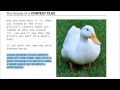 Decoding Vocabulary with Context Clues
