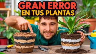 ¡DEJA DE MATAR PLANTAS! La Maceta PERFECTA en 4 CAPAS | Abono Plantas Enfermas