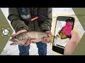 Understanding Bathymetric Maps for Fishing
