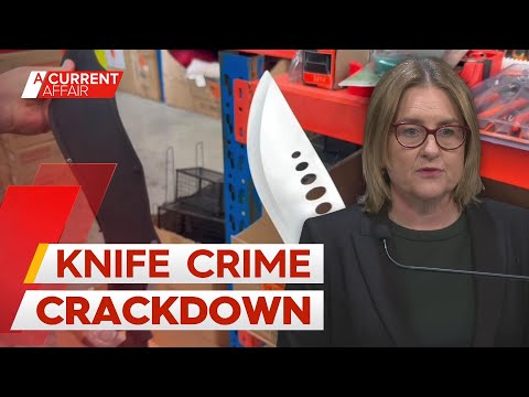 Machete ban probed as big blades found on shop shelves for $10 | A Current Affair