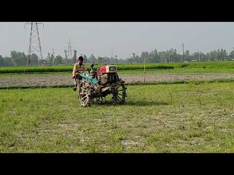 We are cultivating the uncultivated lands well to bring them into cultivation.