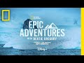 Wildlife Stories in Antarctica