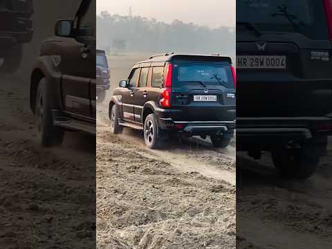 Scorpio Lover โค๏ธ#scorpiolover #mahindrascorpio #blackscorpiolovers #blackscorpios11 #topbhp #suv