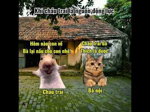Kì tích xuất hiện khi nghe thấy tiếng cháu trai #meme #cat #pets