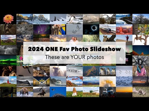 YOUR Favorite Photos of 2024! Photo inspiration for 2025!