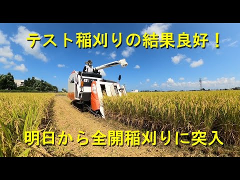 ハナエチゼンのテスト稲刈り良好・昨年の反省から今年は、慎重にスタートしました・2024