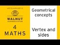 Geometry: Angles and Shapes