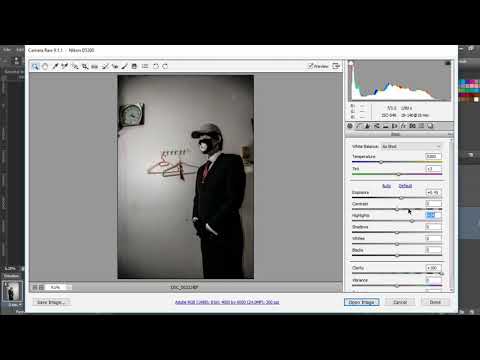 Photo Manipulation