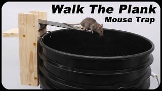 Classic Walk-The-Plank Mouse Trap Tested: 4 Locations = HUGE Catch!