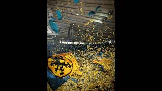 Eintracht Braunschweig! 💙💛 #eintrachtbraunschweig #braunschweig #btsv