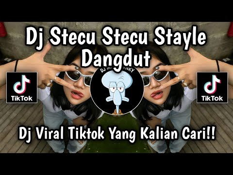 DJ STECU STECU STAYLE ORGEN TUNGGAL - DJ STECU STECU VERSI KOPLO VIRAL TIKTOK TERBARU 2025 !!