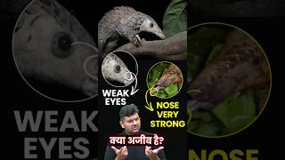 Why PANGOLINS Are the World's Most Trafficked Animal? #upsc #ias #animals