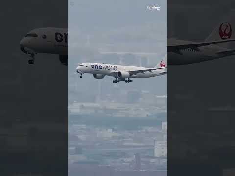 Flight 513 #science #facts #shorts #sciencefacts