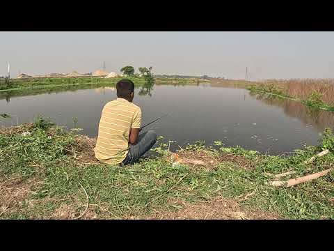 Traditional Hook Fishing Video|Amazing Village Fishing video 2024|