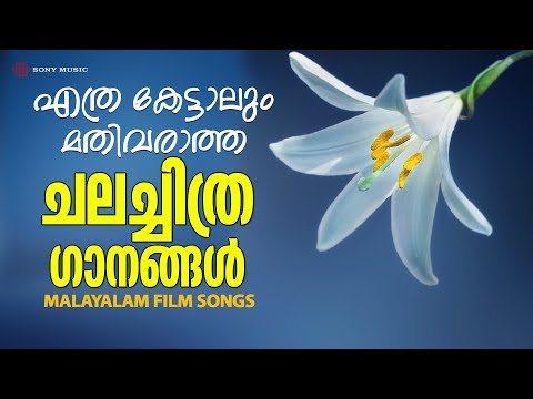 എത്രകേട്ടാലും മതിവരാത്ത ചലച്ചിത്ര ഗാനങ്ങൾ | Malayalam Film Songs