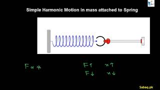 Simple Harmonic Motion in Mass Attached to Spring