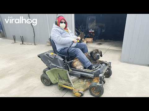 Best Lawn Mower Fails 😂 || ViralHog