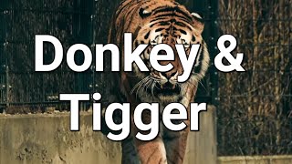 Donkey and Tiger