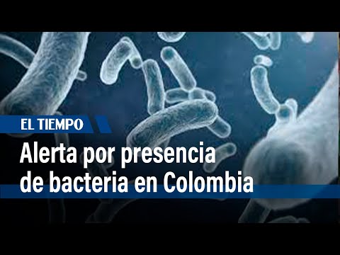 Alerta en Colombia por la presencia de la bacteria burkholderia  en un medicamento  | El Tiempo