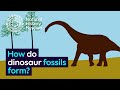 Dinosaur Fossilization and Preservation