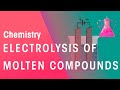 Electrolysis and Ionic Reactions