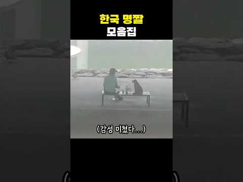 한국 명짤 모음집