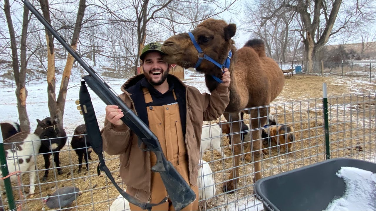 Hunting my backyard farm!