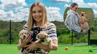 Heavily Pregnant Dog Abandoned in Field Gives Birth to Three Puppies Right After Rescue