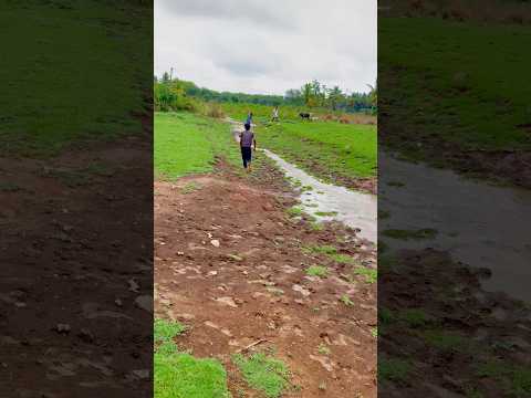 Eda Mone ๐ฅ๐ฅ#fishing #fish #netfishing #fishingvideos #castnetfishing #mysuru