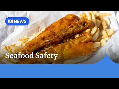 YouTube video thumbnail: Fish and Chip Shops Battle to Calm Algae Anxiety
