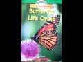 Exploring the Butterfly Life Cycle
