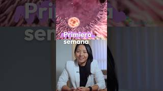 Primeira Semana de Desenvolvimento Embrionário (Episódio 2) | MK Fisiologia