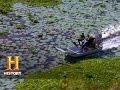 Alligator Hunting Economic Challenges