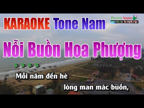 Nỗi Buồn Hoa Phượng Karaoke |Tone Nam – Nhạc Sống Thanh Ngân