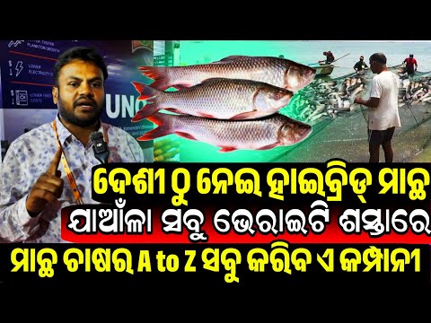ଦେଶୀ ଠୁ ନେଇ ହାଇବ୍ରିଡ୍ ମାଛ ଯାଆଁଳା ସବୁ ଶସ୍ତା All Types Fish Feed, seeds, medicine farming input Odisha