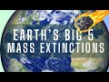 Mass Extinctions and Their Causes