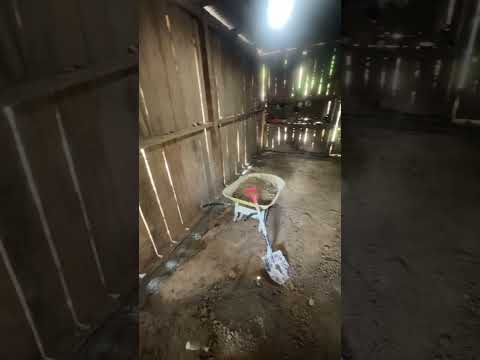 Así a sido el cambio de esta abuelita