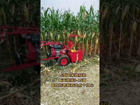corn harvester, small corn harvester