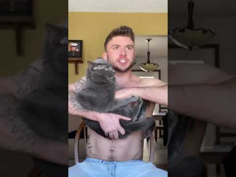 My cat bit me again #shorts