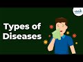 Understanding Diseases and Disorders